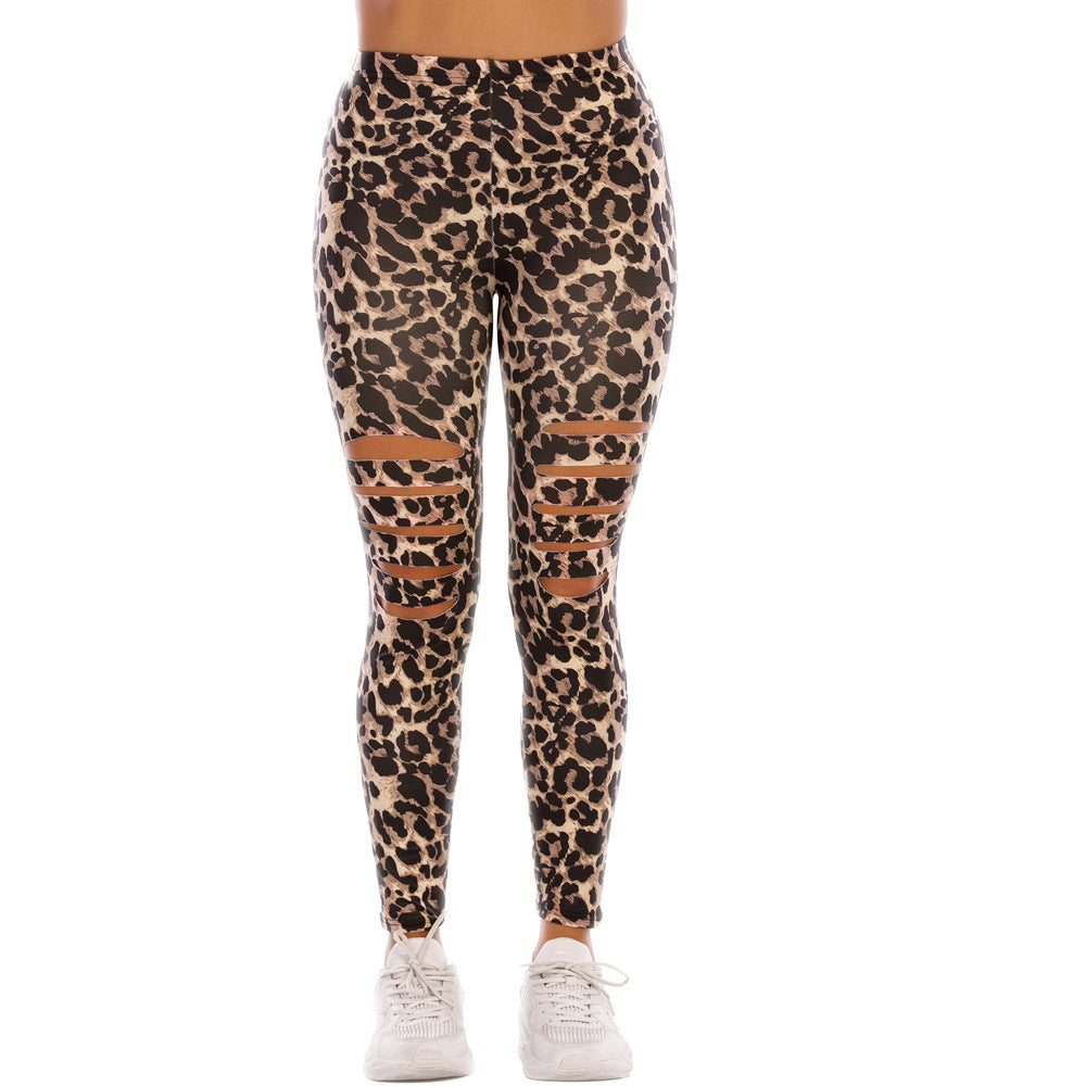 Women's Printed Leopard Print Tight Ripped High Sports Leggings