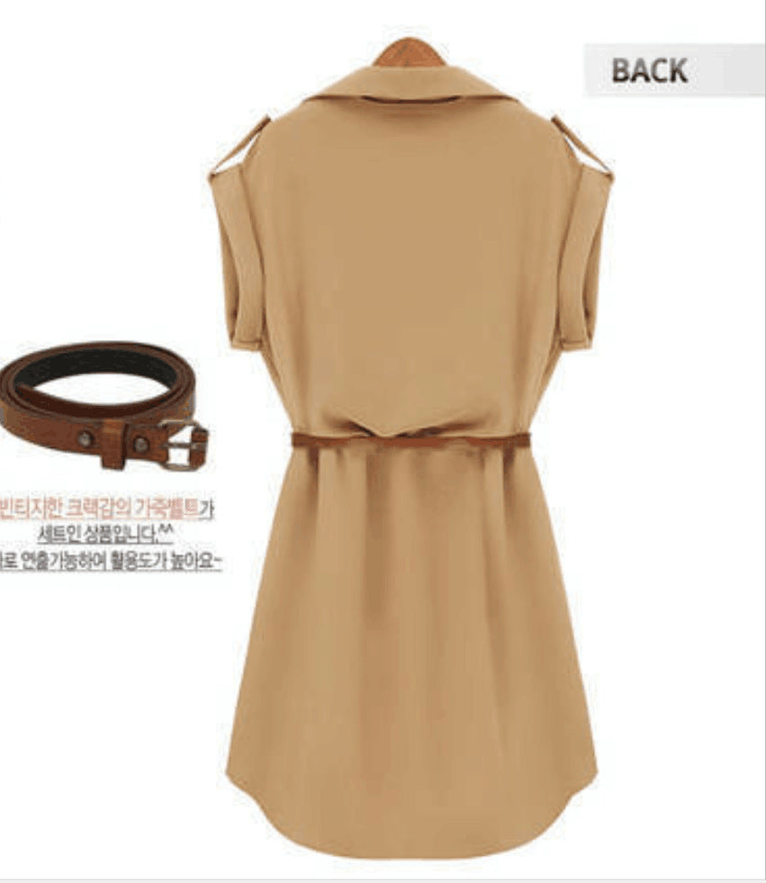 Women's Solid Color Chiffon A- Line Dress Dresses