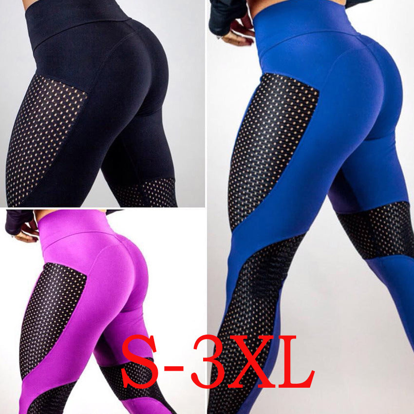 Women's Mesh Yoga Sports Fitness Running Base Leggings