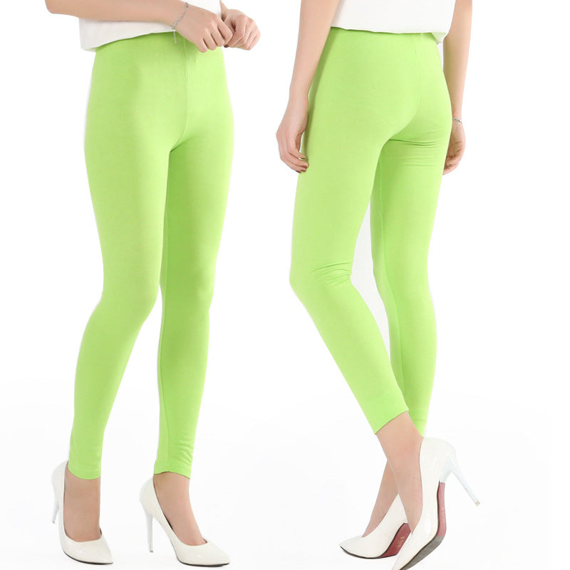 Women's Summer Modal Thin Slimming Elastic Fat Leggings