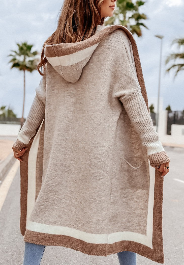 Women's Attractive Classic Casual Hooded Long Sweaters