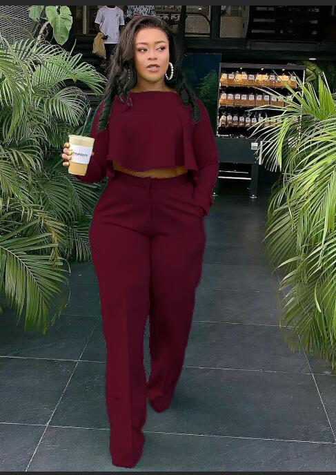 Short Back Long Fashion Pleated Blouse And Pants Solid Color Wide Leg Two-piece Set